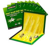 10 Pièces Piege a Colle 31.5 CM x 21 CM Anti Cafard - Piège à Colle Attrape Cafard, Plaque Collant, Glue Trap Puissant Professionnel pour Exterieur Efficace Interieur