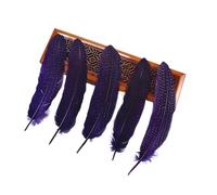 10 pièces plumes d'ailes tachetées plumes de pintade 17-22 cm plumes de décoration for la fabrication de bijoux plumes de décoration de mariage for l'artisanat(Purple)
