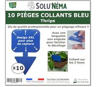 10 Pièges Collants Bleus pour Les Thrips, Moucherons, Design XXL - SoluNéma