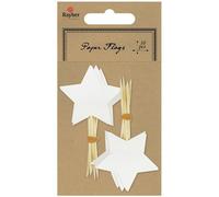 10 piques étoile - blanc Rayher