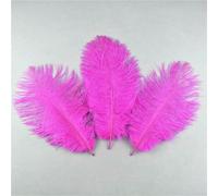 10 plumes d'autruche naturelles teintes, douces et duveteuses, pour loisirs créatifs, broderie, bijoux, robes et décorations de mariage. 25-30 cm - Plumes rose rouge - 10 pièces.