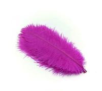 10 plumes d'autruche pour la création de bijoux, la décoration de mariage et d'intérieur, les loisirs créatifs et les centres de table - Plumes rose rouge - 10 pièces de 20,25 cm