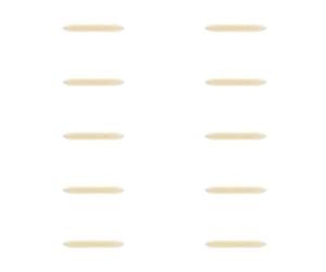 10 pointes de rechange pour Edding 21 - marqueur permanent - pointe ronde 1,5 à 3 mm - Offre une deuxième vie à vos marqueur