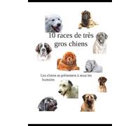 10 races de gros chiens: les chiens se présentent à nous les humains
