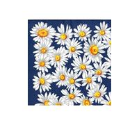 10 serviettes en papier : bleu - marguerites 33x33cm - serviettage - fleurs blanches