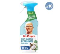 10 Sprays Nettoyants Bicarbonate & Eucalyptus 500ml, Mr. Propre