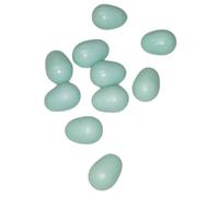10 œufs artificiel en plastique ø 1.6 cm pour canari - animallparadise