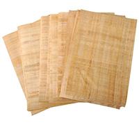 10 vierges feuilles de papyrus égyptiens pour des projets artistiques et des écoles 12x16in 30x40cm
