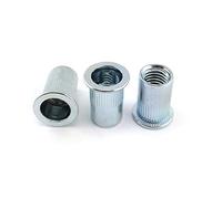 10 x Ecrou à Sertir en Aveugle Tête Plate Acier M10