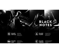 10 x GAMMON Black Notes Parfum Explorer-Set (4x2 ml) parfum pour hommes Parfum Set d'essai avec 20% d'huile parfumée