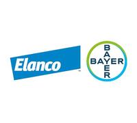 10 X KG 4/10 CF = 4 PIÈCES ADVANTIX CANI BAYER ANTIPARASITAIRE