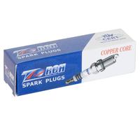 10 XBOUGIE 19C TORCHE L6TC TRONÇONNEUSES-DECESP.