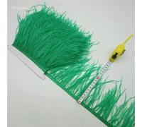 10 yards 10-15CM Plumes d'autruche pour jupe/robe Ruban de plumes d'autruche violet rouge Plume Pour Artisanat Plume Vêtements-vert-2 yards