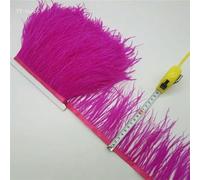 10 yards 10-15CM Plumes d'autruche pour jupe/robe Ruban de plumes d'autruche violet rouge Plume Pour Artisanat Plume Vêtements-Rose-5 yards