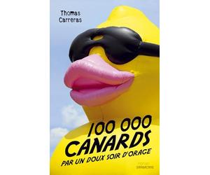 100 000 canards par un doux soir d'orage