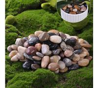 100/300/500/800g Galets colorés Pierres décoratives pour plantes en pot d'intérieur, utilisées comme pavés extérieurs, pierres décoratives pour aquarium, terrarium de tortue, cour de Ramadan, bonsaï d