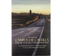 100 años de Campos de Castilla. Paisaje poético machadiano
