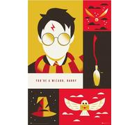 100 ans Warner Bros - Harry Potter - Impression d'affiches - Taille 61x91,5 cm