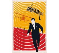 100 ans Warner Bros - North by Northwest - Impression d'affiches - Taille 61x91,5 cm