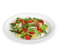 100 Assiettes Carton 18 Cm Écologique