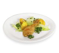 100 Assiettes Carton 18 Cm Écologique