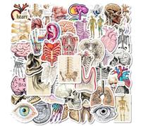 100 Autocollant Organes humains,Sticker anatomie organes,SANYUANHE Apprendre les organes gribouillage autocollants pour bouteilles d’eau, valises,vélos,voitures,tablettes,enfants et adultes