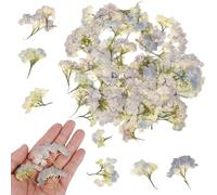 100 Fleurs d’Hortensia séchées, Fleurs pressées Naturelles Bleu Vif pour créations en résine et décoration, embellissements Floraux pour Loisirs créatifs, Scrapbooking, Bijoux et Accessoires