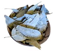 100 g / 0,22 lb de feuilles d'eucalyptus marocaines séchées de qualité supérieure | Approvisionnement personnel | Matière première de haute qualité