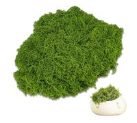 100 g de mousse artificielle fraîche pour pot de fleurs d'intérieur, travaux manuels, couronnes, fournitures pour la maison, les travaux manuels, le jardin