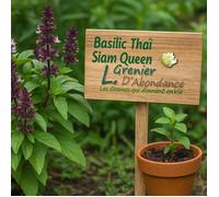 100 graines à semer - Le Grenier d'Abondance - Basilic Thaï Siam Queen - Ocimum basilicum