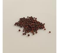 100 Graines À Semer - Le Grenier D'abondance - Chou Chinois Pé Tsaî Amélioré - Brassica Rapa