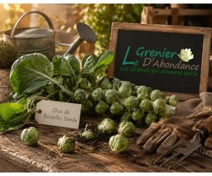 100 graines à semer - Le Grenier d'Abondance - CHOU de Bruxelles Sanda - Brassica oleracea