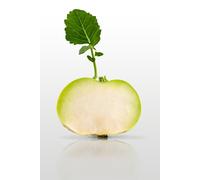 100 Graines À Semer - Le Grenier D'abondance - Chou Rave Blanc Hâtif Vienne - Brassica Oleracea