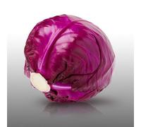 100 graines à semer - Le Grenier d'Abondance - CHOU Rouge Gros - Brassica oleracea