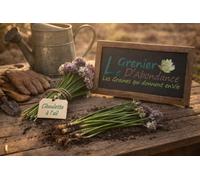 100 graines à semer - Le Grenier d'Abondance - Ciboulette à l'ail - Allium tuberosum