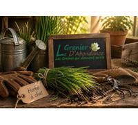 100 graines à semer - Le Grenier d'Abondance - HERBE à Chat Complément alimentaire pour le transit