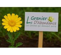 100 graines à semer - Le Grenier d'Abondance - Marguerite des Moissons - Chrysanthemum Segetum