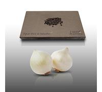 100 graines à semer - Le Grenier d'Abondance - OIGNON Blanc de Rebouillon - Allium cepa