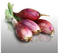 100 Graines À Semer - Le Grenier D'abondance - Oignon Rouge De Florence - Allium Cepa