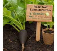 100 graines à semer - Le Grenier d'Abondance - Radis noir long maraîcher bio - Raphanus sativus