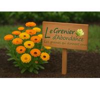 100 graines à semer - Le Grenier d'Abondance - Souci Fiesta Gitana - Calendula officinalis