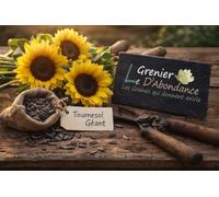 100 graines à semer - Le Grenier d'Abondance - Tournesol Géant - Helianthus annuus