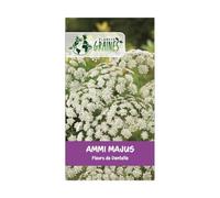100 Graines Ammi Majus Blanc - Ombrelles de Dentelle Blanches pour Bouquets Champêtres, Jardin et Polinisateurs