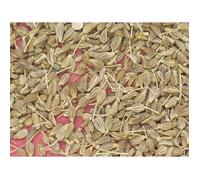 100 graines Aromatiques - ANIS Vert - Pimpinella anisum