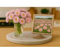 100 Graines Aster de CHINE - Graine de Callistephus chinensis ‘Delicate Pink’ - Fleur Rose Jardin - 394