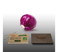 100 Graines Bio À Semer - Le Grenier D'abondance - Chou Rouge Gros - Certifié Ab - Brassica Oleracea