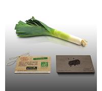 100 graines Bio à semer - Le Grenier d'Abondance - POIREAU Alto - Certifié AB - Allium Porrum
