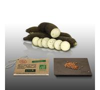 100 graines Bio à semer - Le Grenier d'Abondance - RADIS Noir Gros Long D'hiver - Certifié AB - Radix