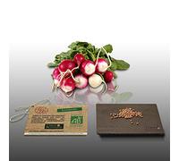 100 Graines Bio À Semer - Le Grenier D'abondance - Radis Rond National 2 - Certifié Ab - Raphanus Sativus