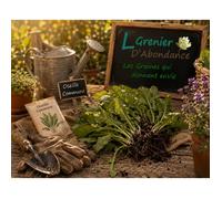 100 graines d'Aromatiques à semer - Le Grenier d'Abondance - OSEILLE Commune - Rumex Acetosa
